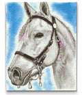 White Horse